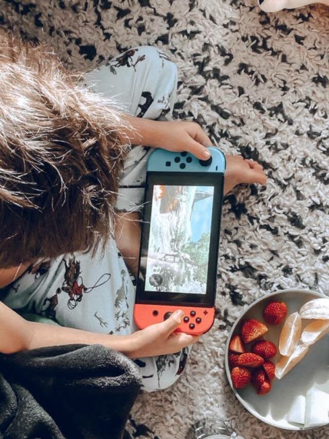 Essential Switch Accessories